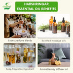 Harshringar Essential Oil – Joint Support