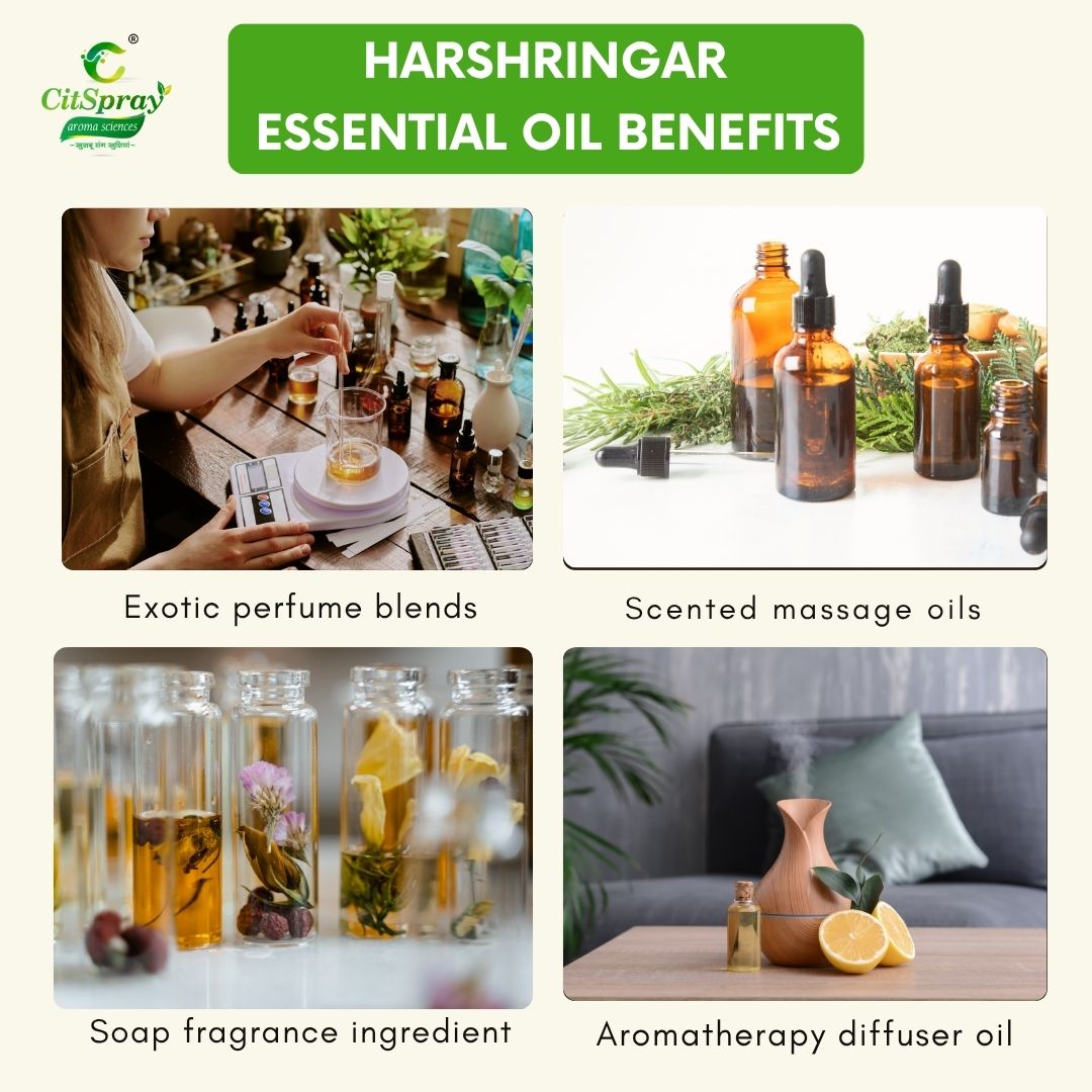 Harshringar Essential Oil – Joint Support