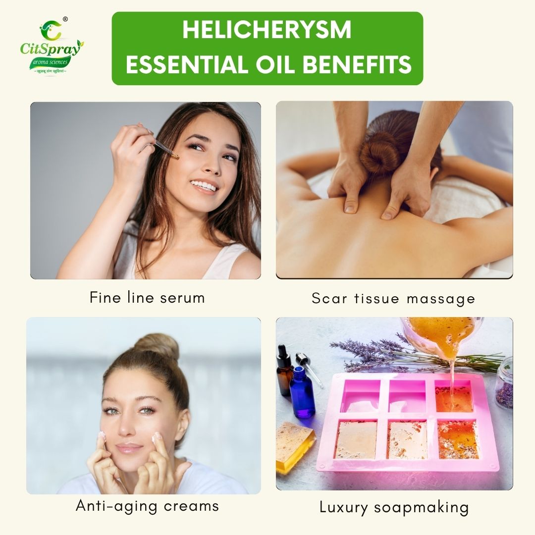Helicherysm Essential Oil – Healing
