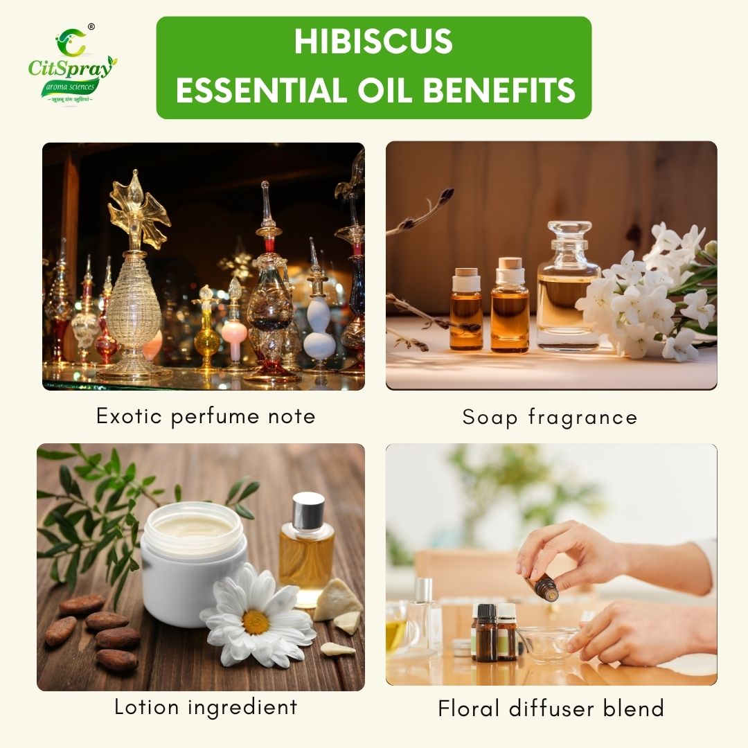Hibiscus Essential Oil – Radiant Skin