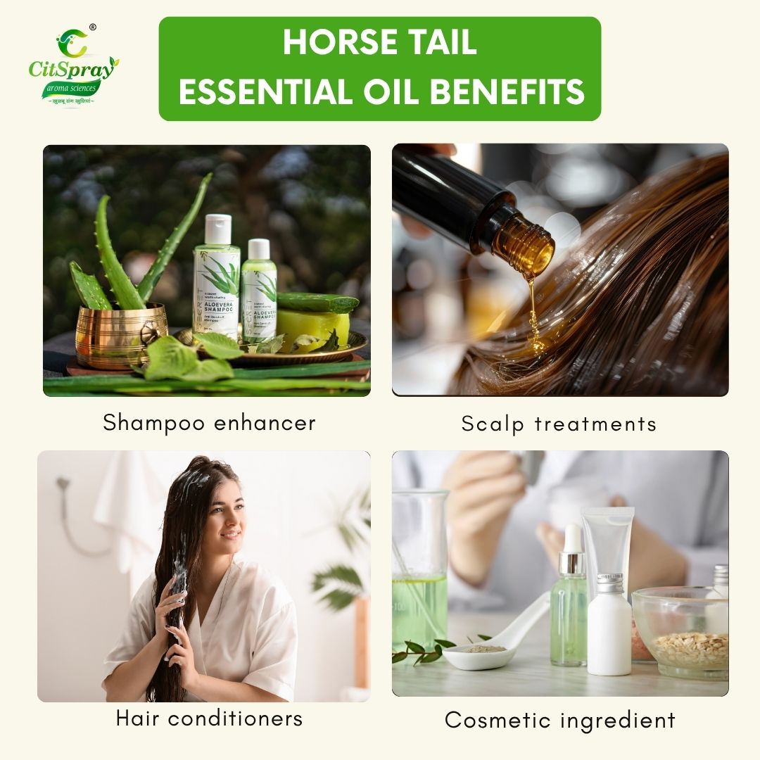 Horse Tail Essential Oil – Hair Growth