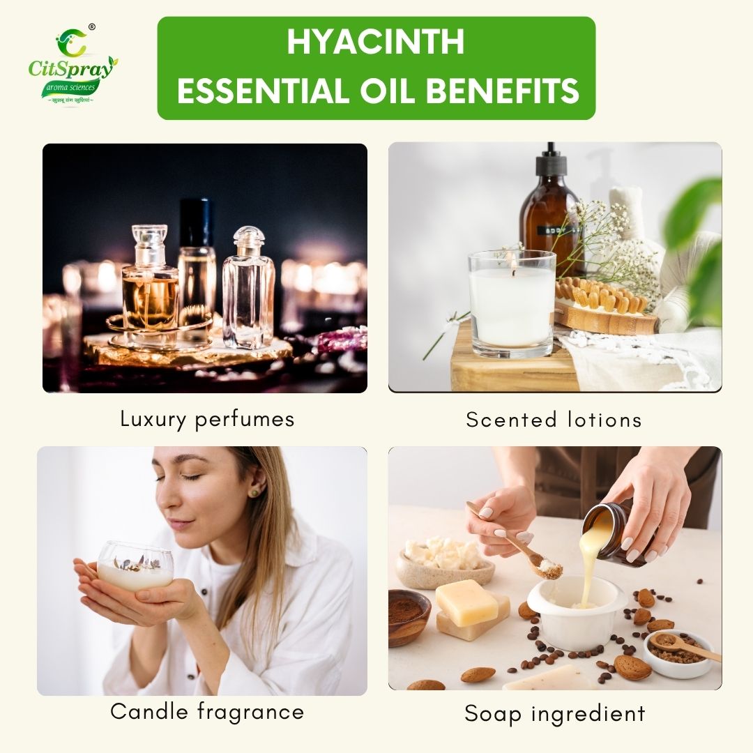 Hyacinth Essential Oil – Floral Aroma