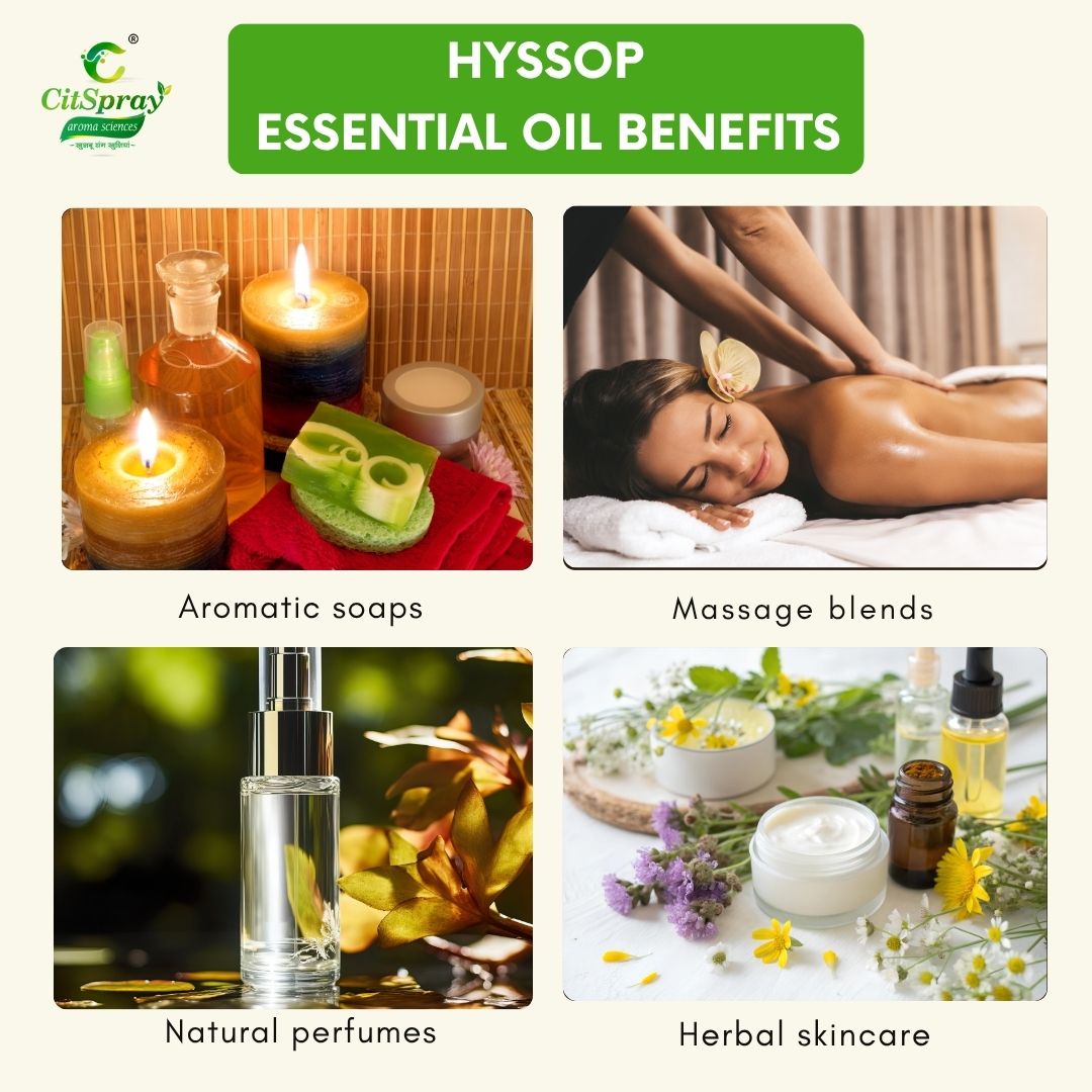 Hyssop Essential Oil – Spiritual Cleansing