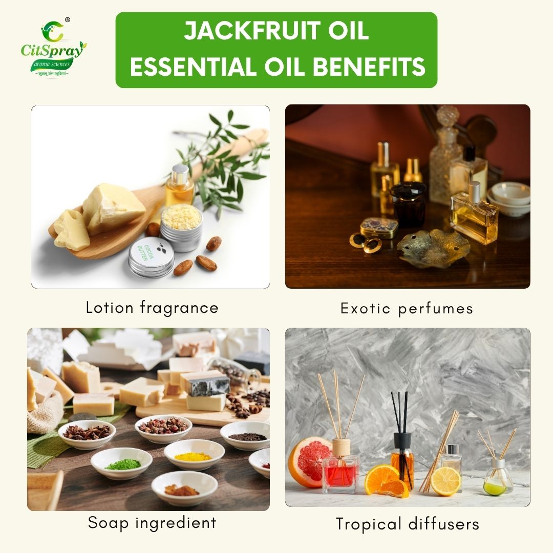 Jackfruit oil Essential Oil – Natural Wellness