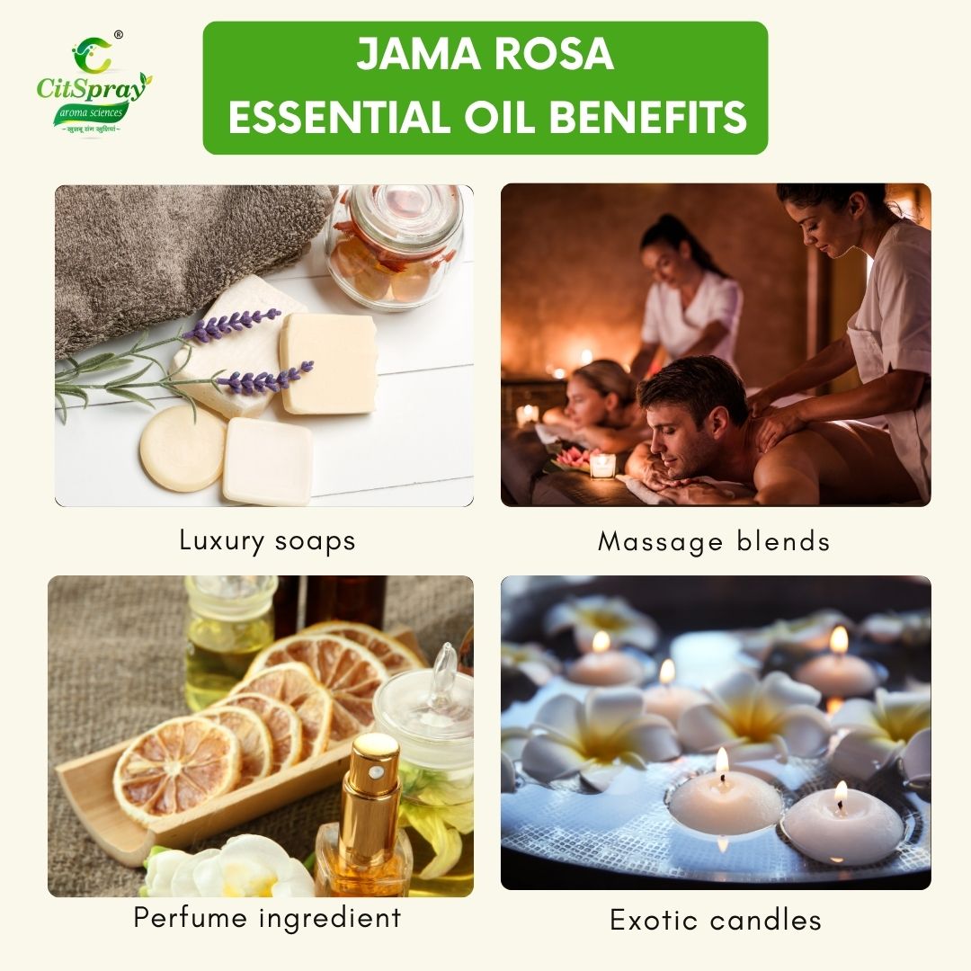 Jama Rosa Essential Oil – Natural Radiance