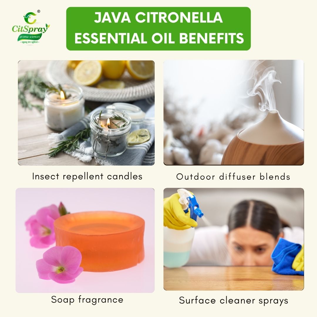 Java citronella Essential Oil – Natural Insect Repellent