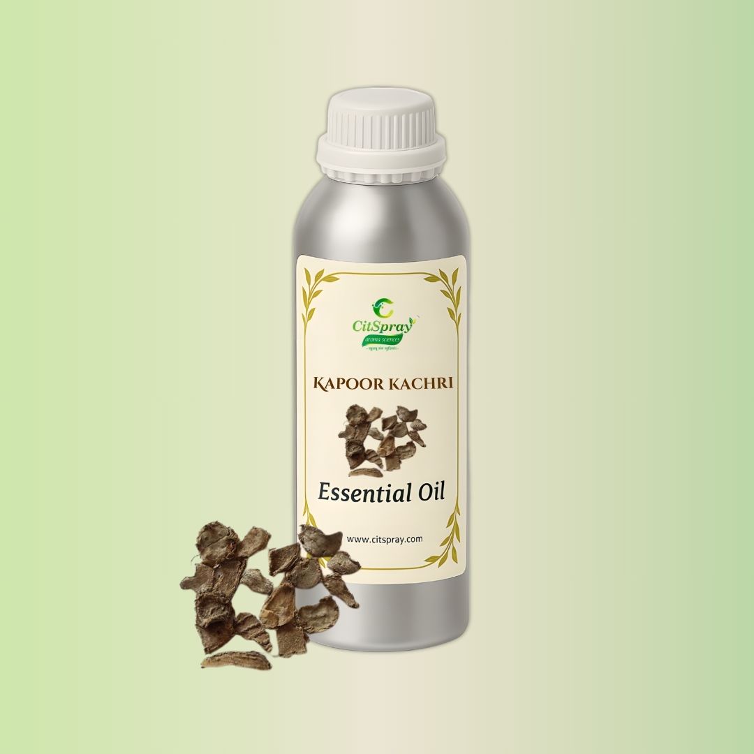 Kapoor Kachri Essential Oil in CitSpray aluminum bottle. Aromatic ginger lily oil.