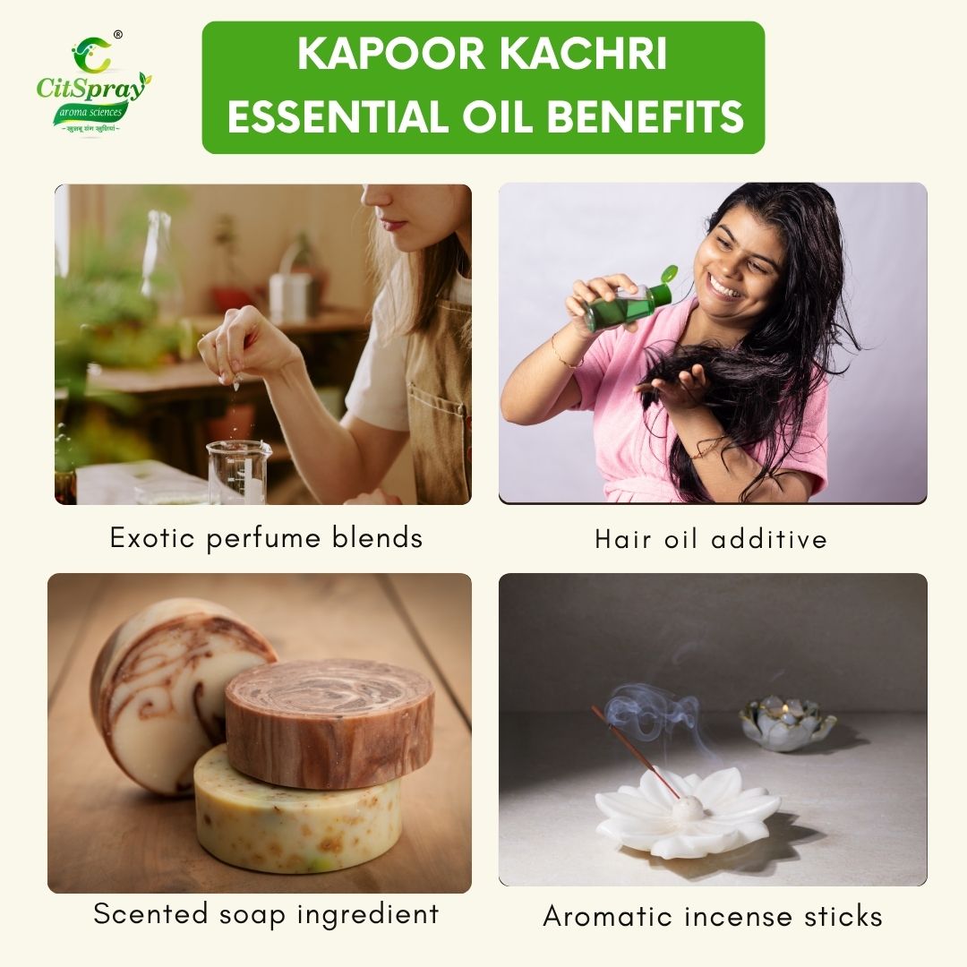 Kapoor kachri Essential Oil – Hair Growth