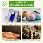 Lavender Essential Oil – Calming