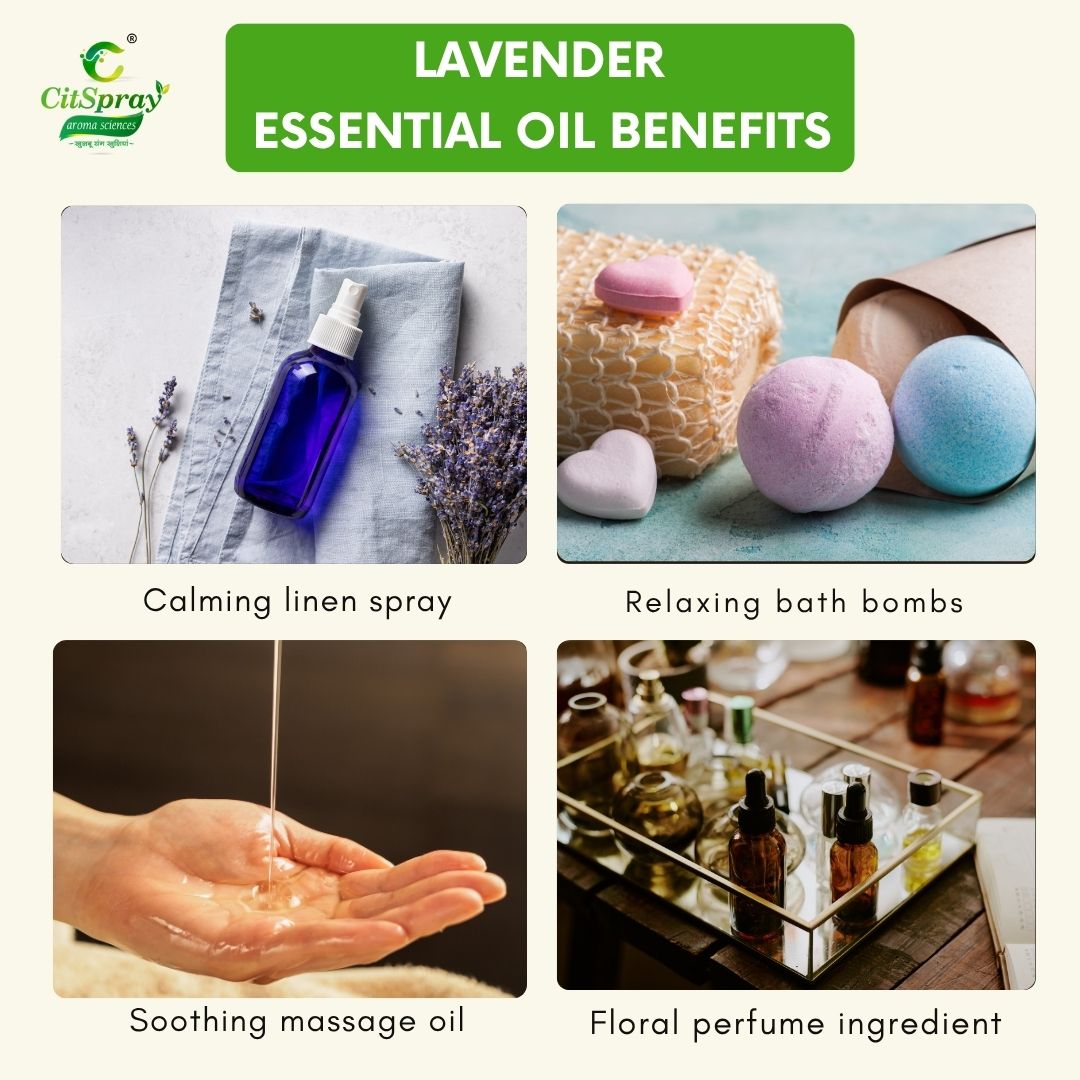 Lavender Essential Oil – Calming