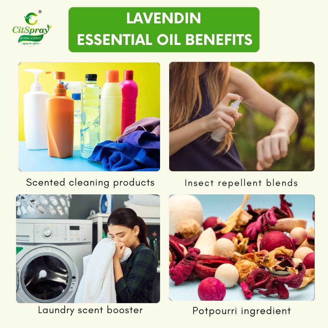 Lavendin Essential Oil – Natural Relief
