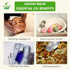 Lemon balm Essential Oil – Calming