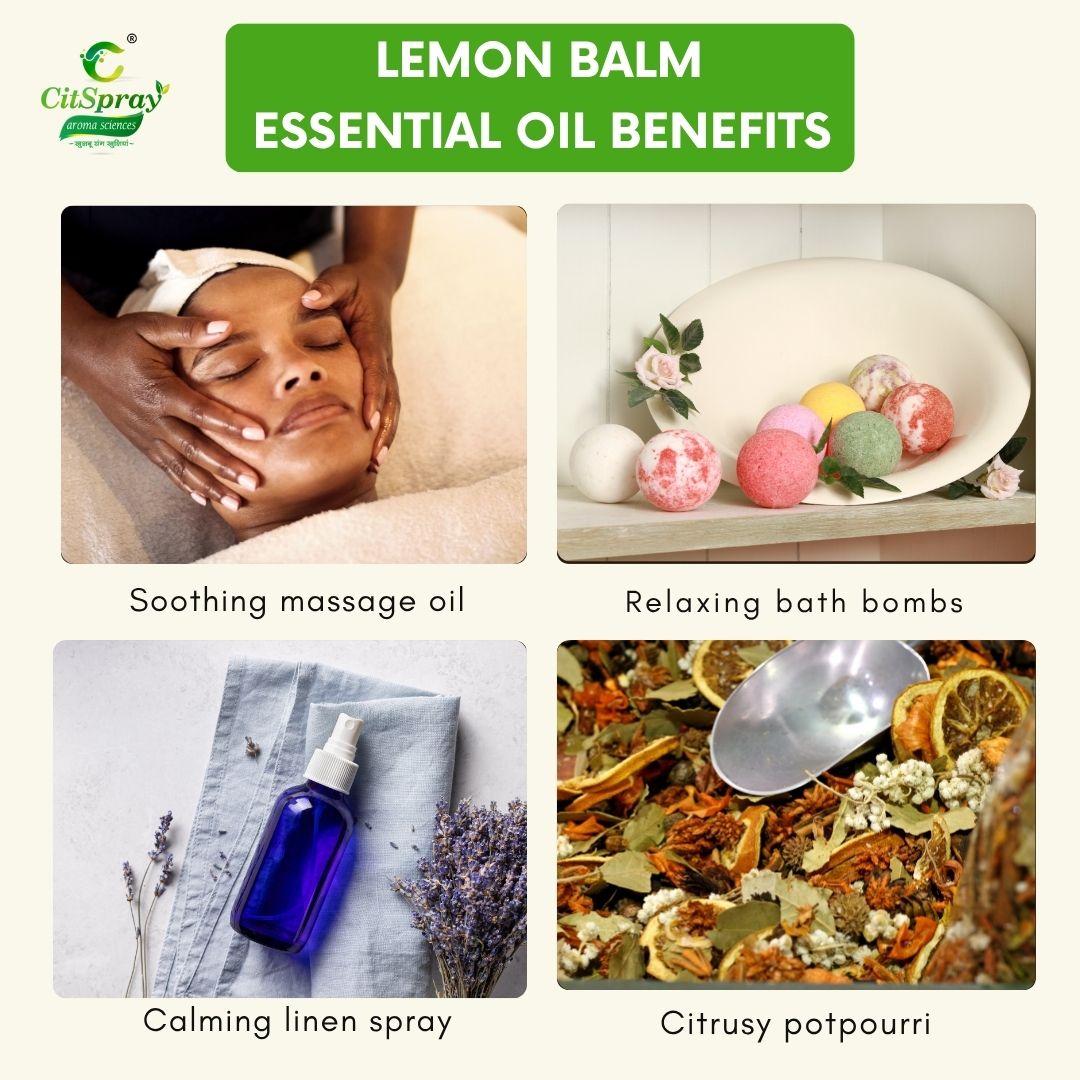 Lemon balm Essential Oil – Calming