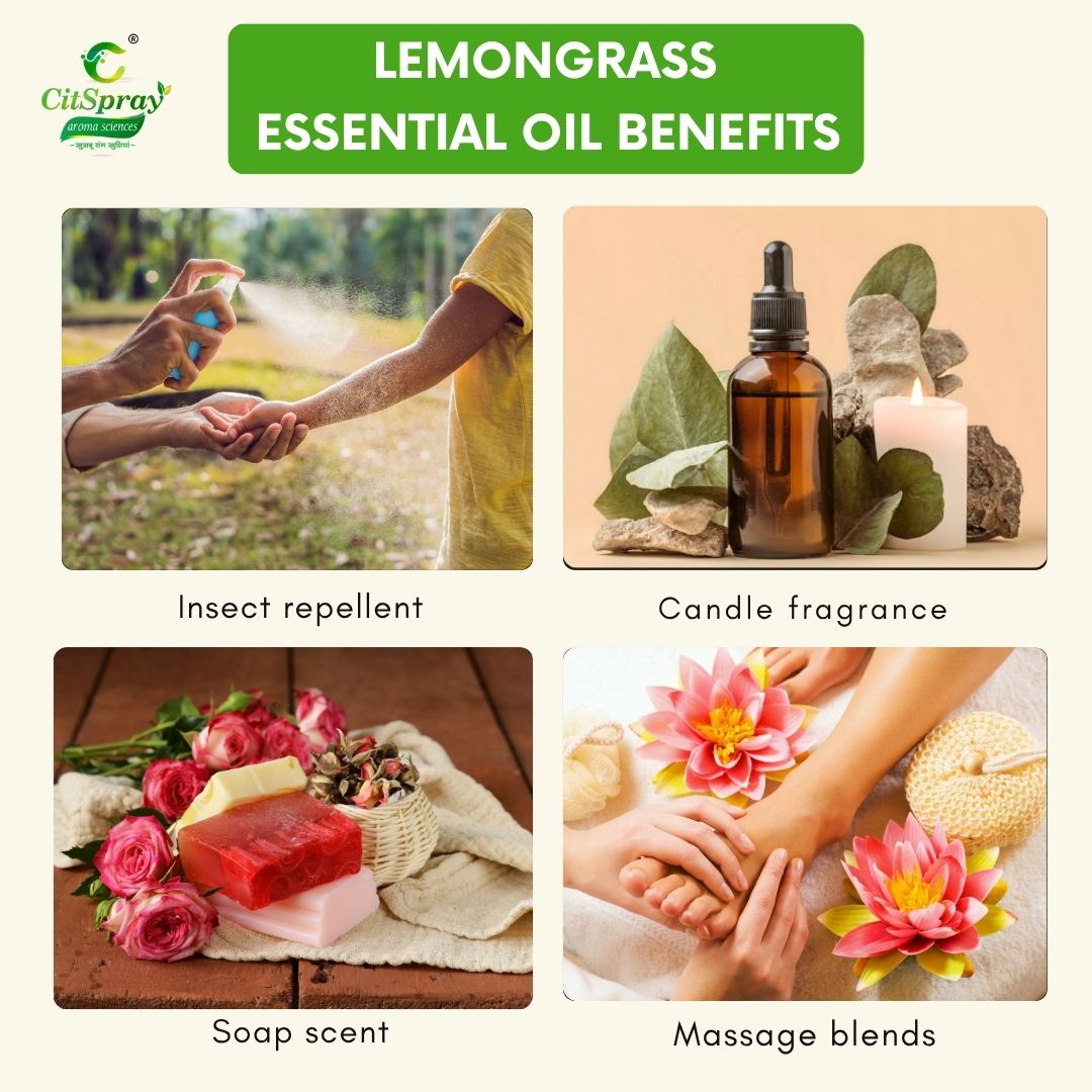 Lemongrass Essential Oil – Natural Cleansing