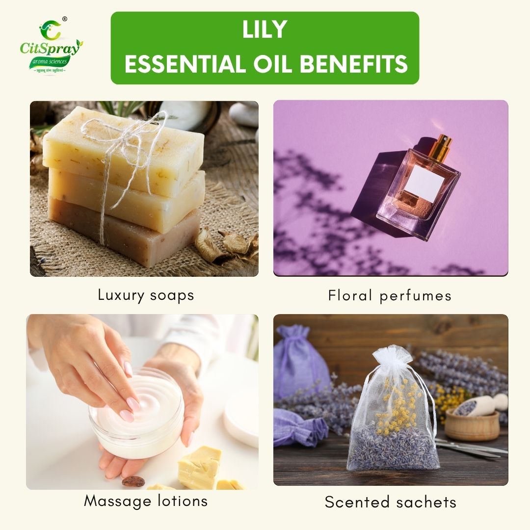Lily Essential Oil – Serene Aroma