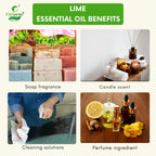 Lime Essential Oil – Refreshing