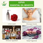 Lotus Essential Oil – Spiritual Growth