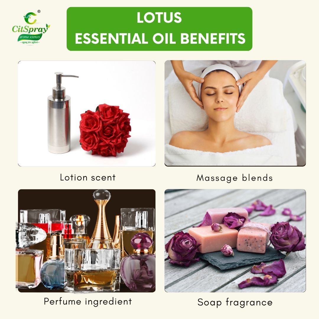 Lotus Essential Oil – Spiritual Growth