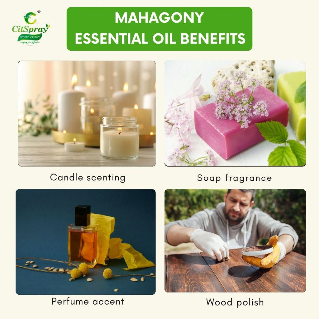 Mahagony Essential Oil – Grounding
