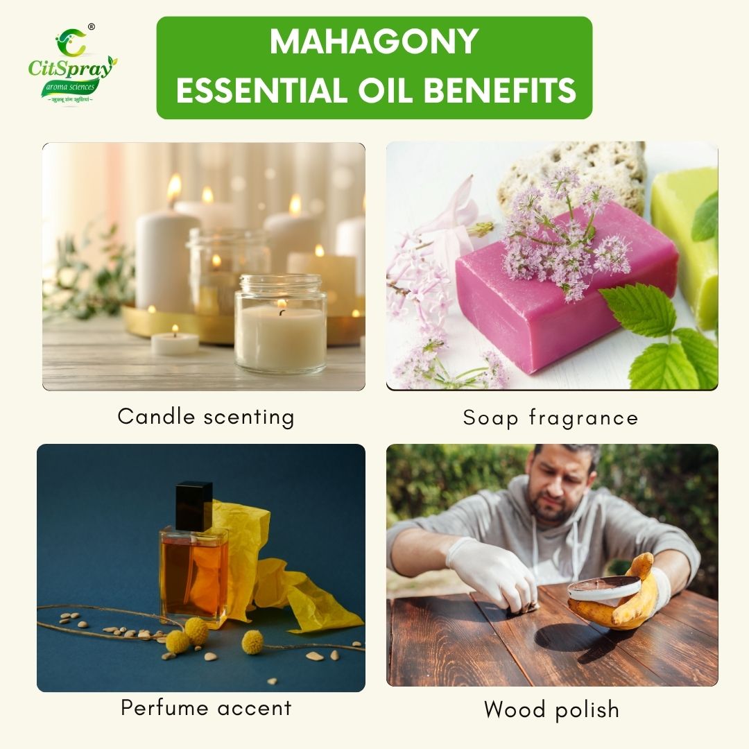 Mahagony Essential Oil – Grounding
