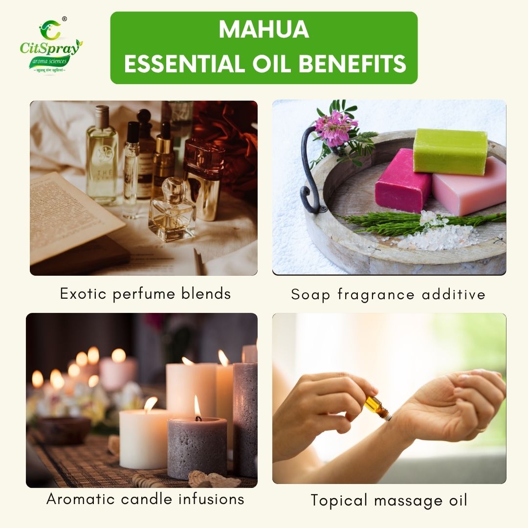 Mahua Essential Oil – Natural Fragrance
