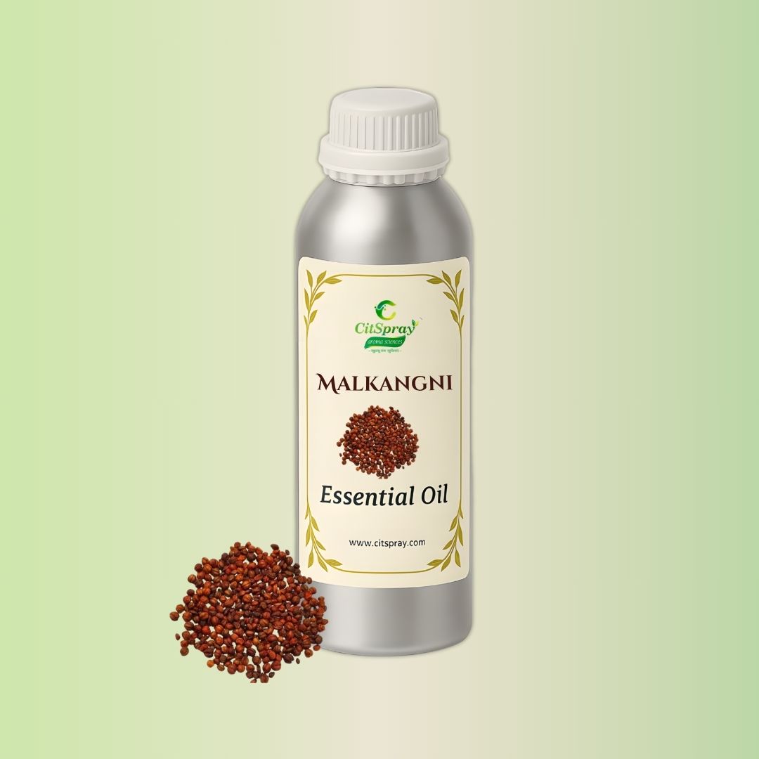 Malkangni Essential Oil in CitSpray aluminum bottle. Intellect Tree seed oil.