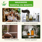 Malkangni Essential Oil – Memory Boost