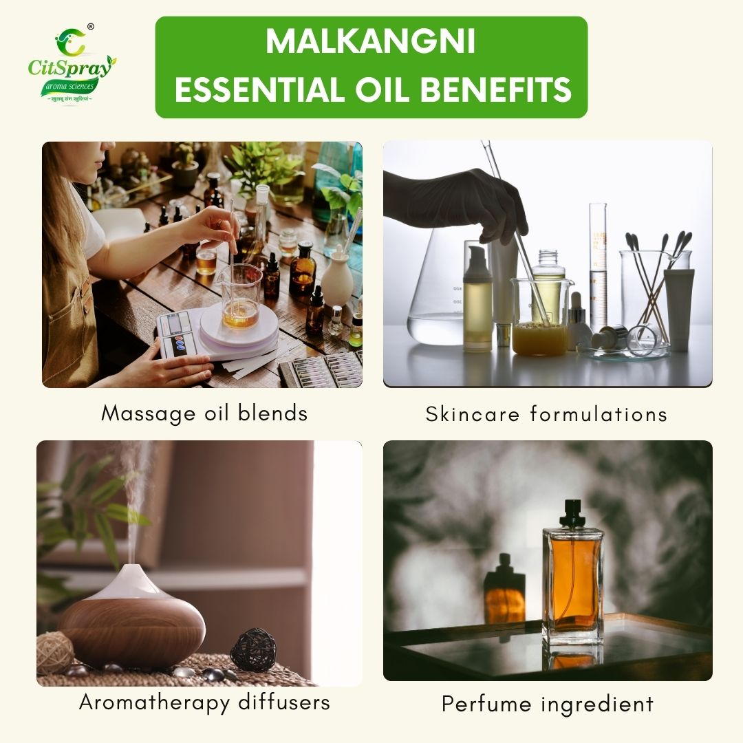 Malkangni Essential Oil – Memory Boost