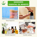 Mandarin Essential Oil – Cheerful Aroma