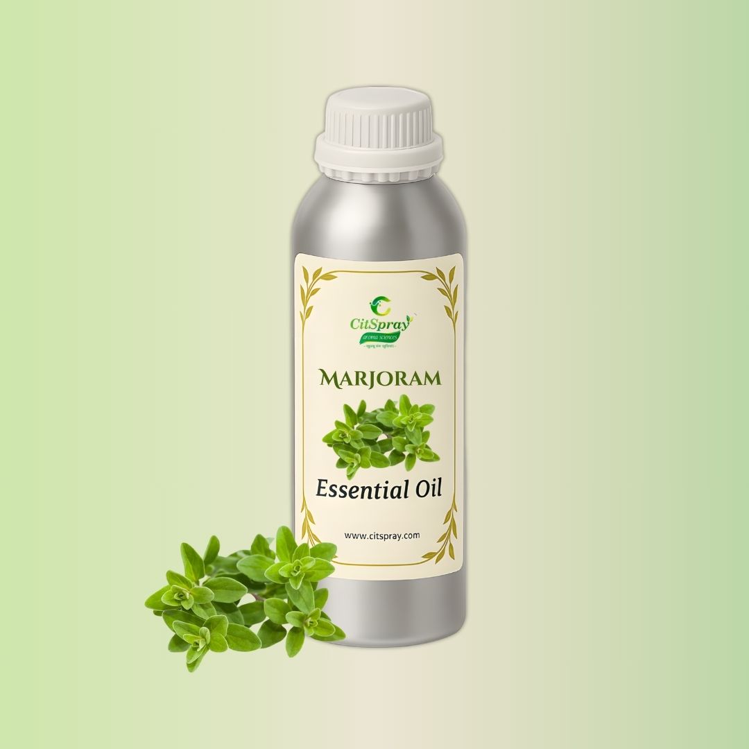 Marjoram Essential Oil by CitSpray in aluminum bottle. Herbal aroma, pure oil.