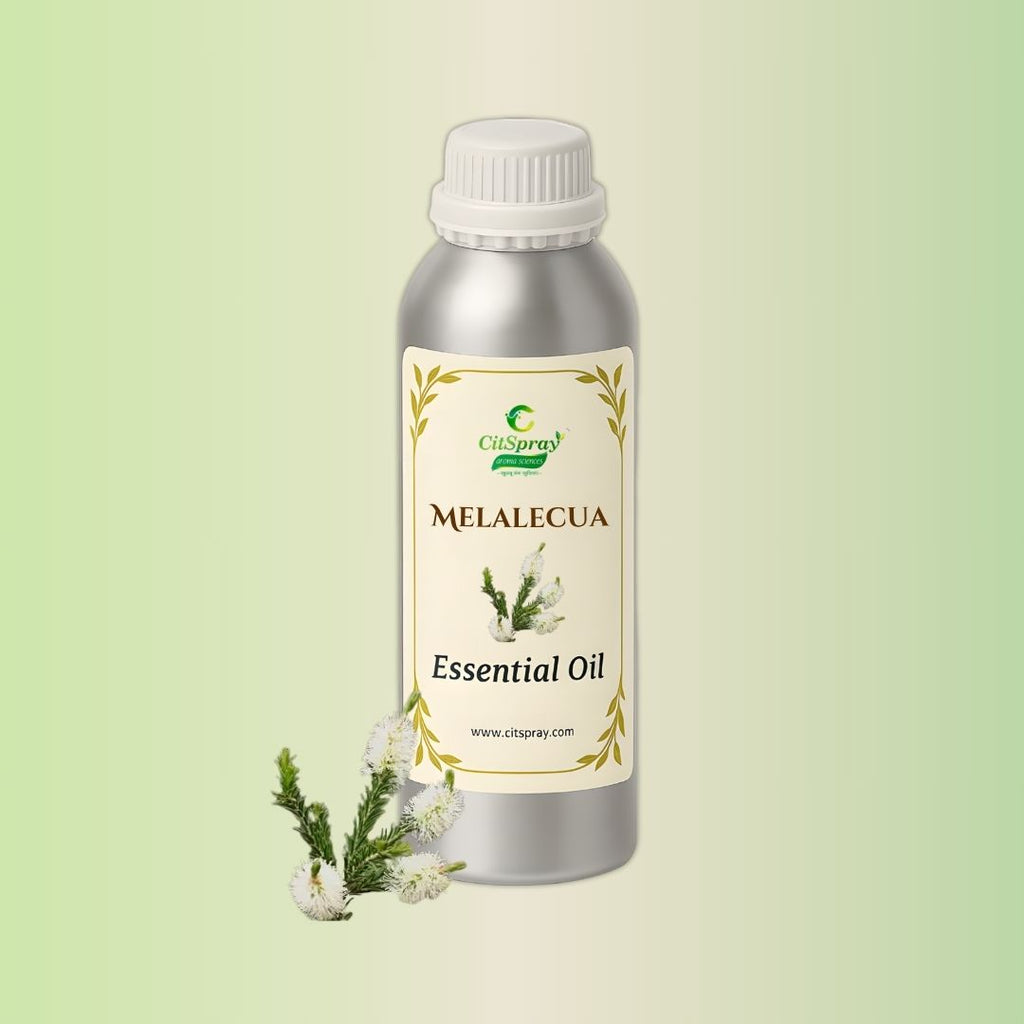 Melalecua Essential Oil by CitSpray in aluminium bottle. Tea tree oil product.