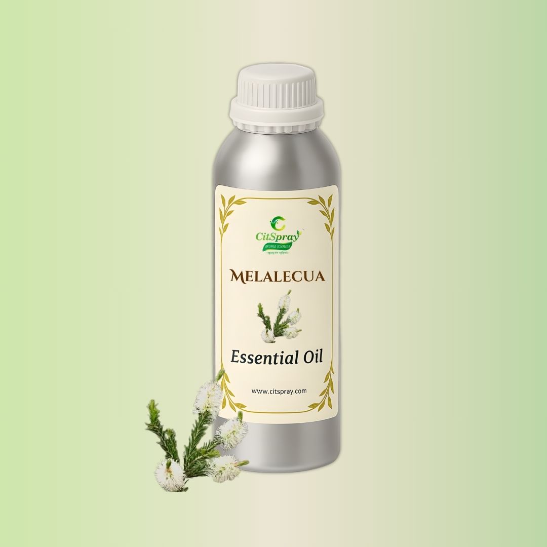 Melalecua Essential Oil by CitSpray in aluminium bottle. Tea tree oil product.