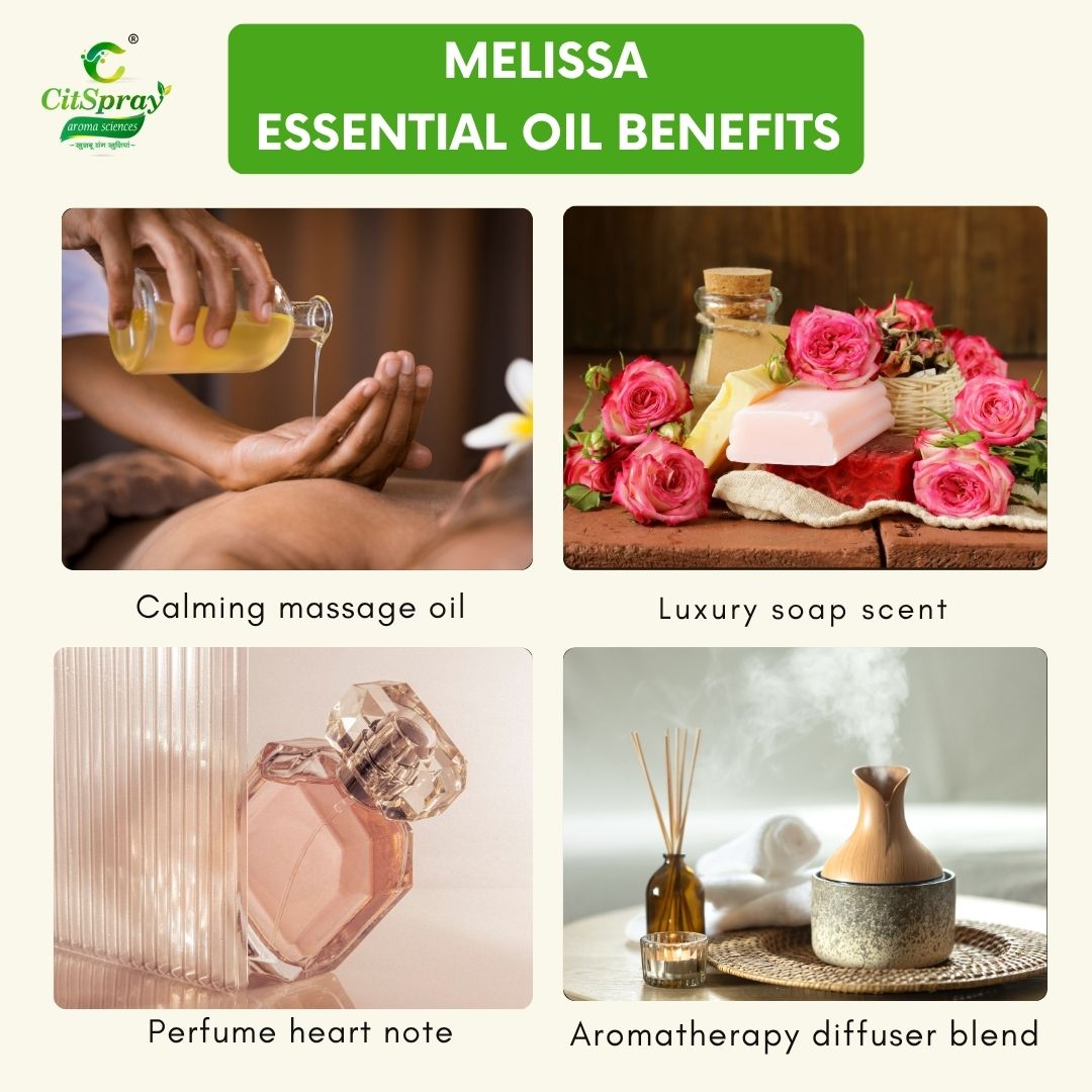 Melissa Essential Oil – Nerve Tonic