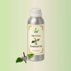 Mentha Essential Oil in CitSpray aluminium bottle. Peppermint oil product.