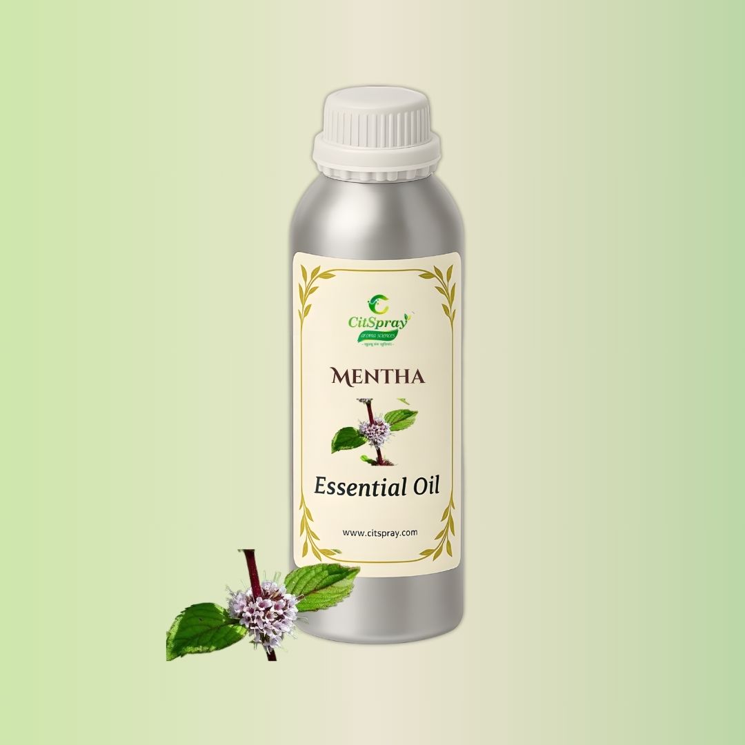 Mentha Essential Oil in CitSpray aluminium bottle. Peppermint oil product.