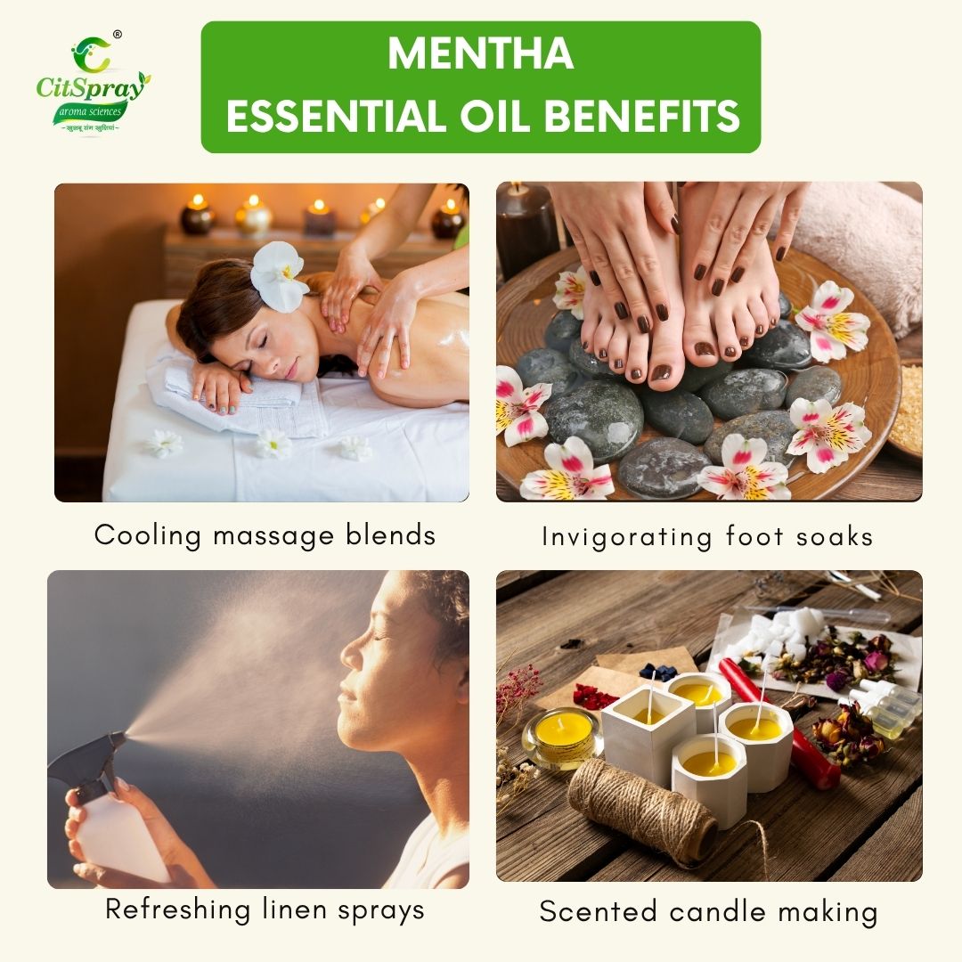 Mentha Essential Oil – Digestive Aid