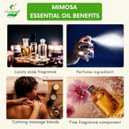 Mimosa Essential Oil – Joyful Aroma