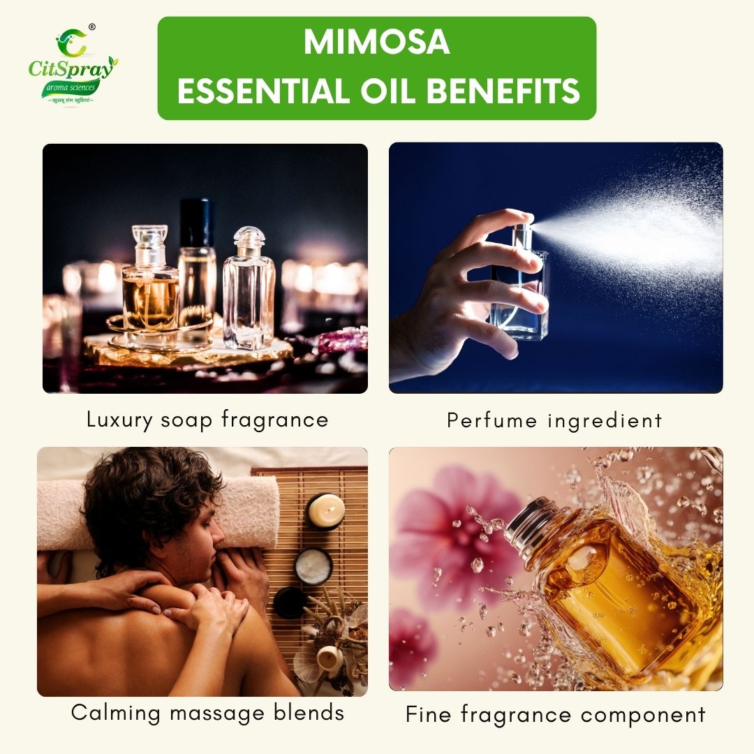 Mimosa Essential Oil – Joyful Aroma