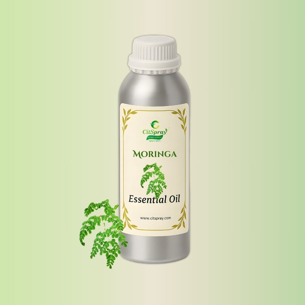 Moringa Essential Oil by CitSpray. Aluminium bottle showing Moringa Oleifera oil.