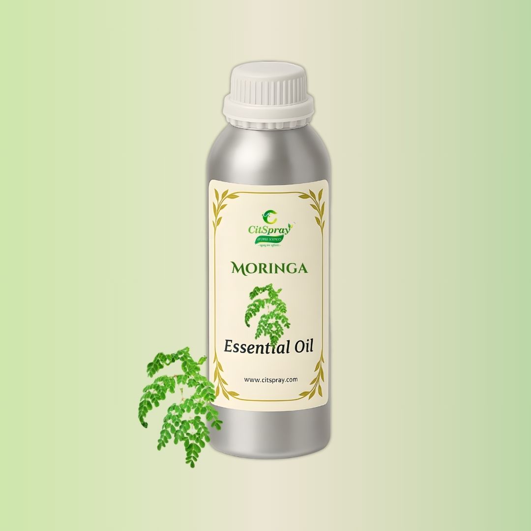 Moringa Essential Oil by CitSpray. Aluminium bottle showing Moringa Oleifera oil.