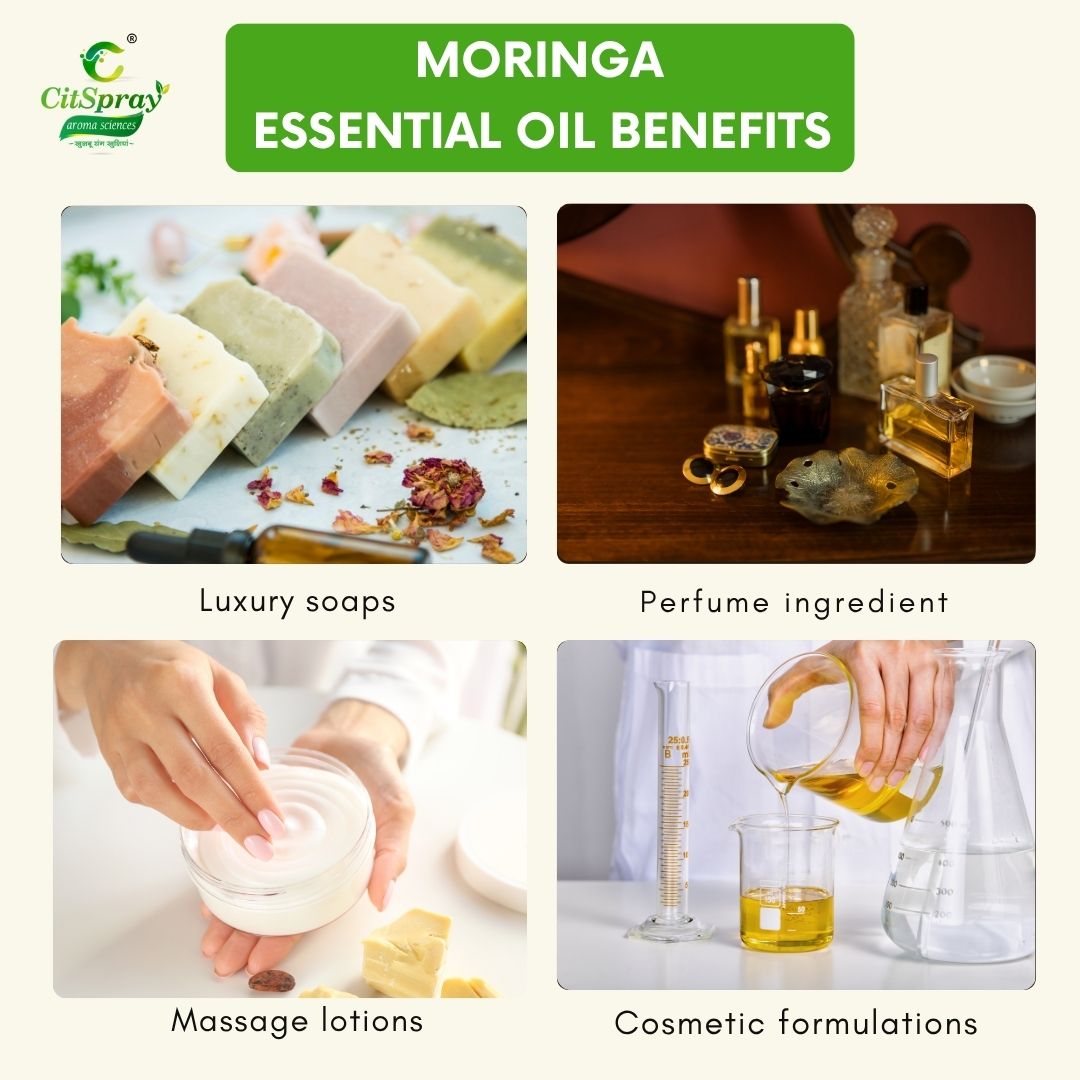 Moringa Essential Oil – Radiant Skin