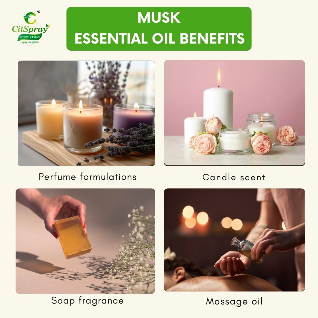 Musk Essential Oil – Sensual Aroma