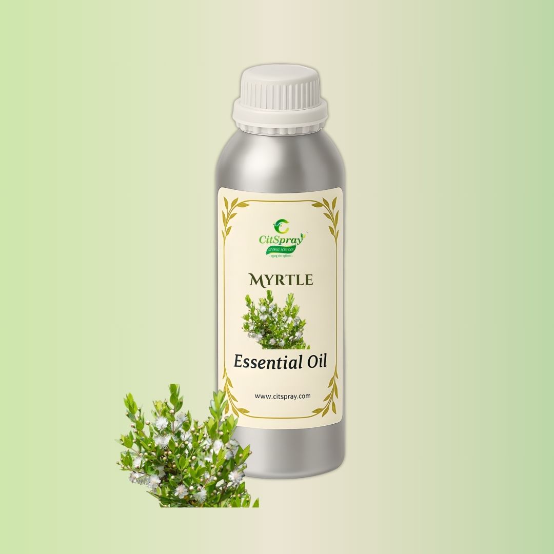 Myrtle Essential Oil in aluminium bottle by CitSpray. Botanical product.