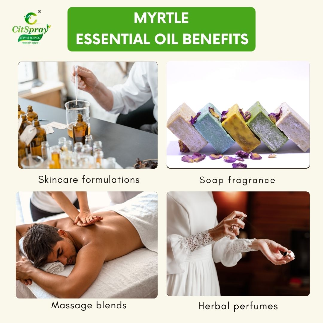 Myrtle Essential Oil – Immune Support