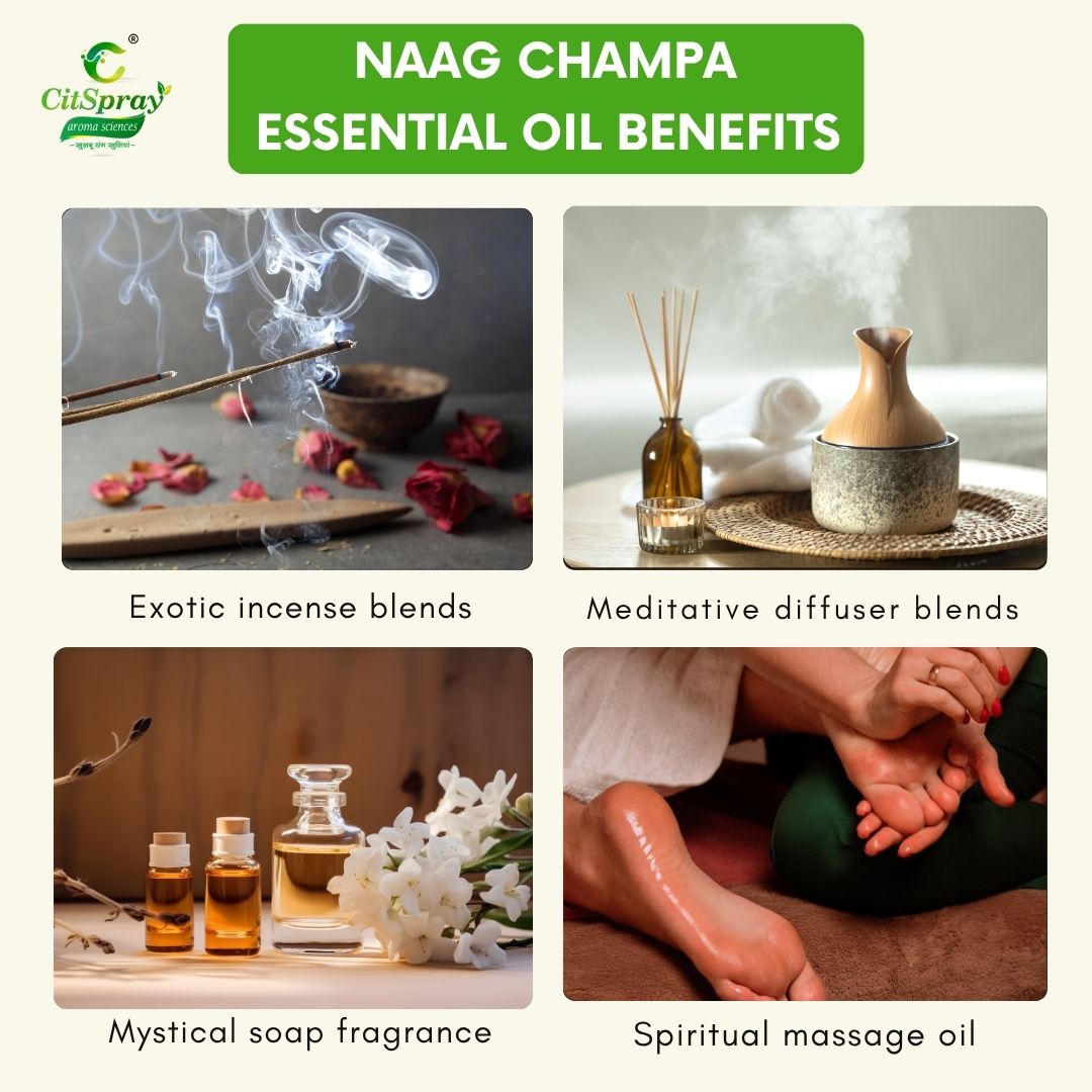 Naag Champa Essential Oil – Spiritual Connection