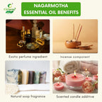 Nagarmotha Essential Oil – Grounding