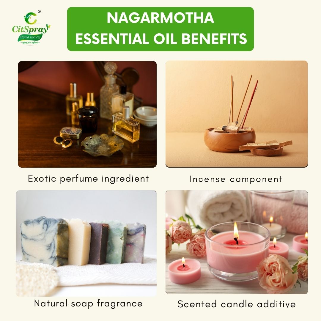 Nagarmotha Essential Oil – Grounding