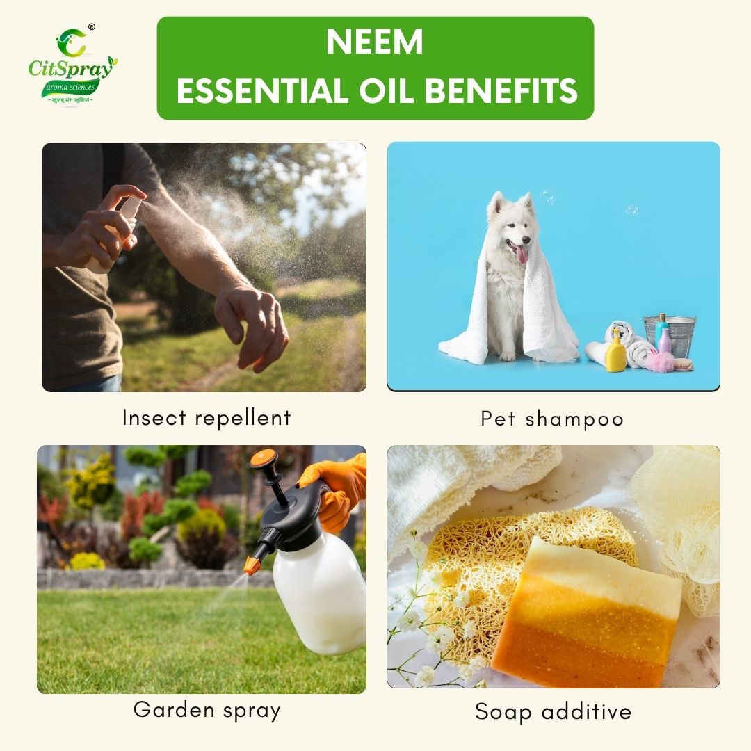 Neem Essential Oil – Skin Health