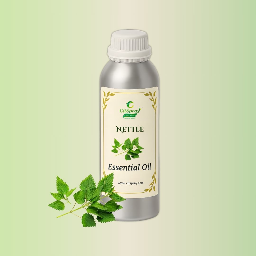 Nettle Essential Oil by CitSpray. Aluminium bottle. Botanical product.