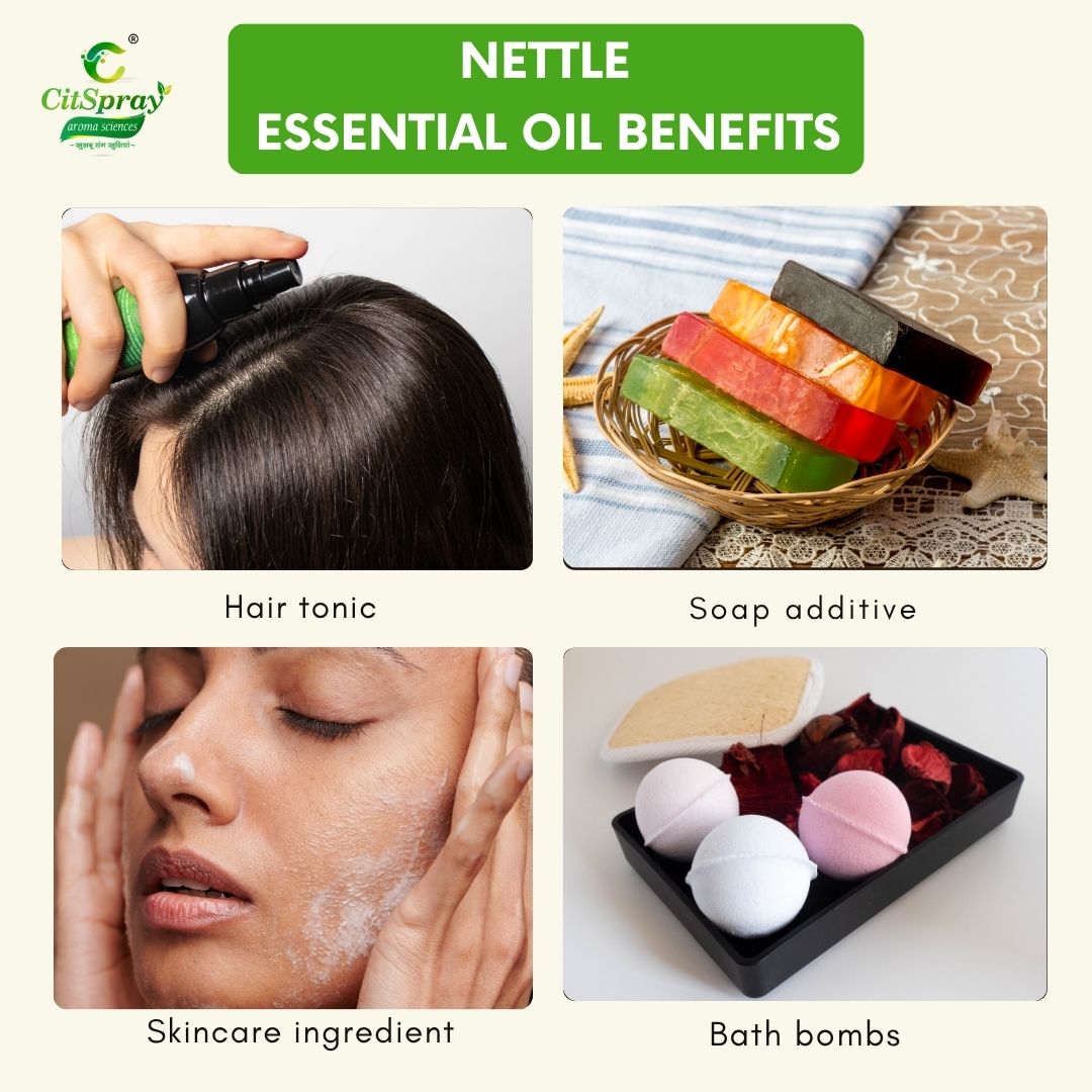 Nettle Essential Oil – Scalp Health